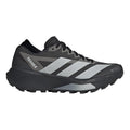 Terrex Agravic GTX 2 Trailschuh Damen - dunkelgrau, grau