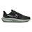 Air Zoom Pegasus 39 Shield