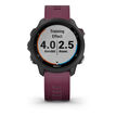 Garmin