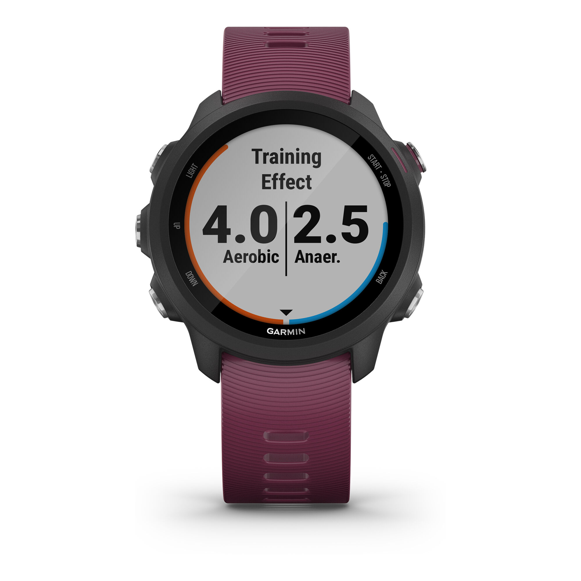 Garmin
