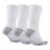 Dry Cushion Crew Training Sock (3 Pair)