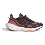 adidas Ultraboost 22 GTX