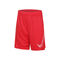 ***Dri-Fit HBR Shorts