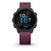 Garmin