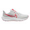 Air Zoom Pegasus 39