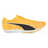 evoSPEED Distance 11