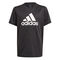 Big Logo Tee Boys