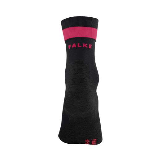 Falke