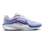 Nike Laufschuhe Nike Winflo 11 Neutralschuh Herren-Hellgrau,Blau